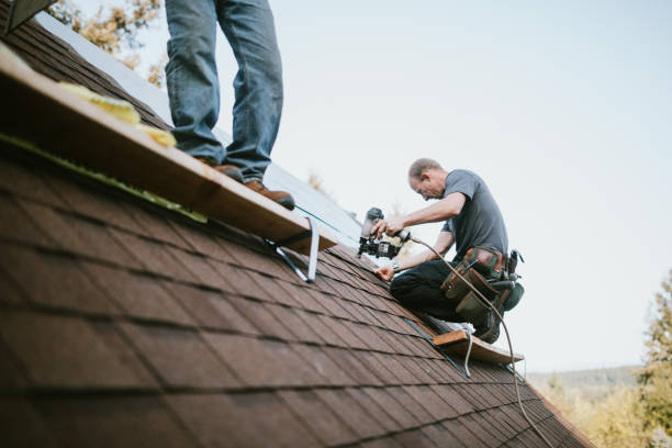 Quick and Trustworthy Emergency Roof Repair Services in Campo, CA